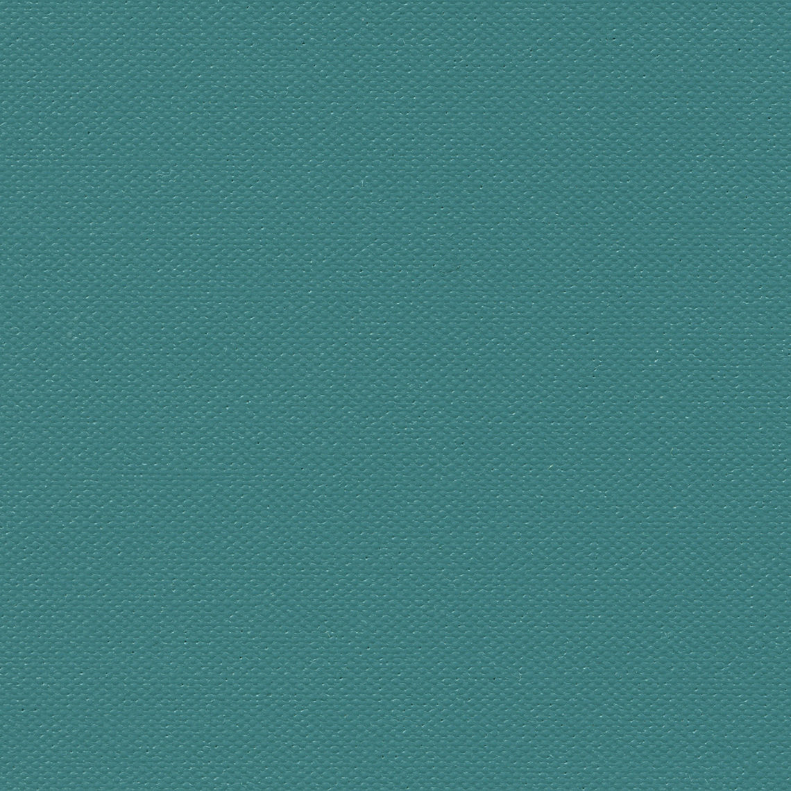 Spruce